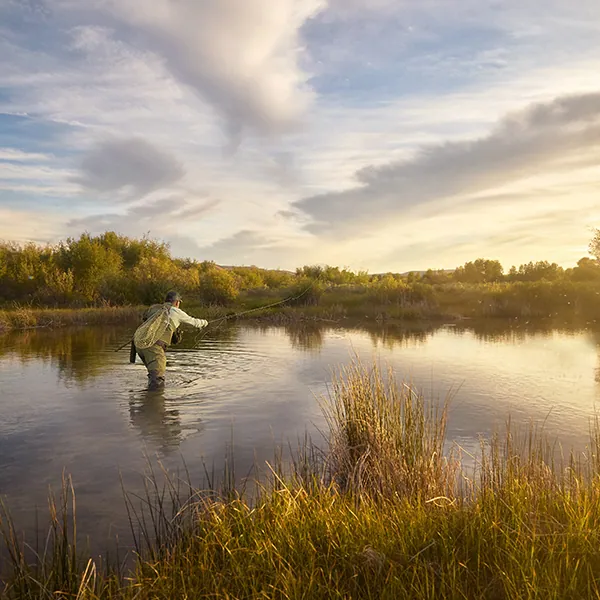 Angler fly fishing in a marsh at sunset